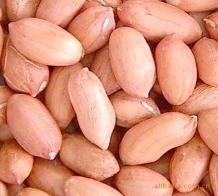 大量销售正阳花生