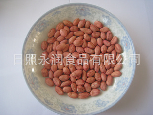 ڼ޻