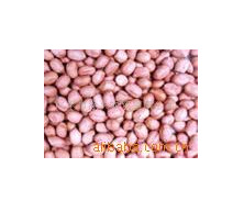 ֱƼɳʣPeanutmeat