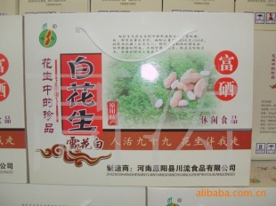 [2010Ʒ]ѩ׻