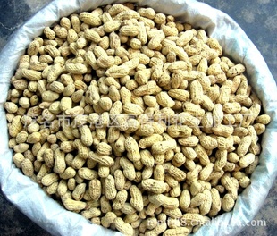 ƼŴڸУ30KG/ѡ̸ɻ