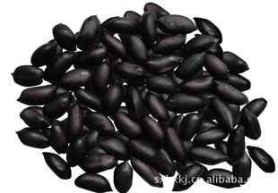 ز8ڻ