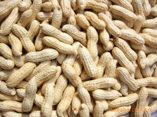 ɳԷ
