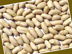 ӹ׻
