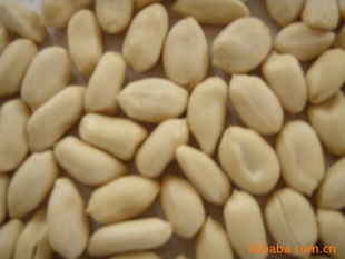 ڼƤ25/29