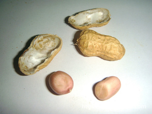 ʹǻֱӣ
