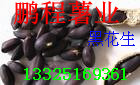 ּڻ