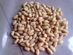 Ƥ25/29-blanchedpeanutkernels25/29