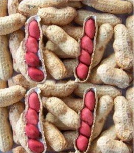 ʡлֱ“컨”