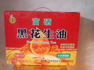 ԭڻ250*4