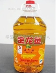 ʳͻ5L