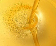 ز