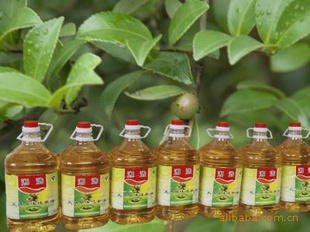 5L