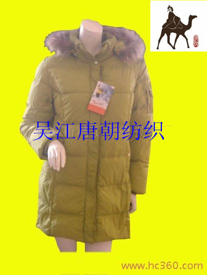 ޷ϵ