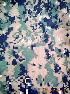 600Dʲ600Dˮʲ