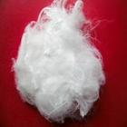 ޹ڶйںڶйڱ׶