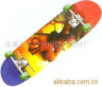 DS-2808(ͼ)