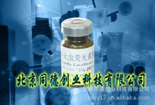 D-ӫD-luciferin