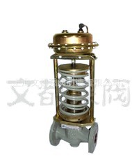 ZZYP-25CB-DN25ʽѹڷ