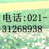 -19(62669-66-3)