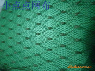 ڵỨС֩С˿