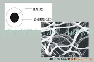 ۵(4080)ڶˣ110ȣ