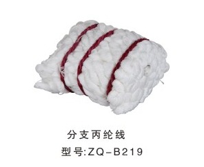 ǿ߸ǿ֧ZQ-B219֧