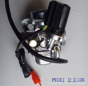 ¶ǴPD20J100ӭ