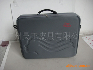 洦ữױ䣬EVA