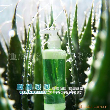 뱴-FM16-«ɹ޻