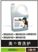 滤