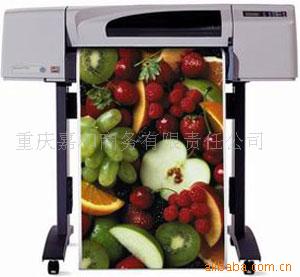 HPDesignjet500plusͼ