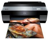 ӡEPSONStylusPRO4880C