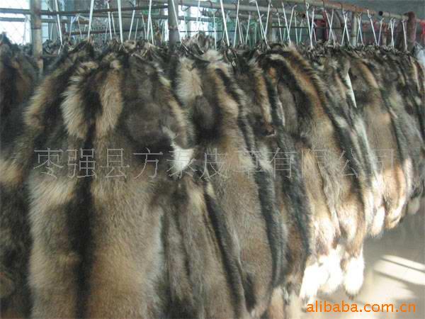 水貂,狐狸,貉子皮