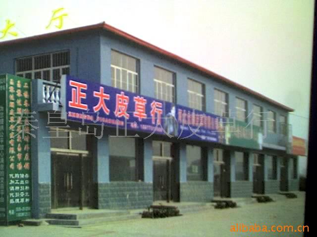 狐狸貉子水貂生皮