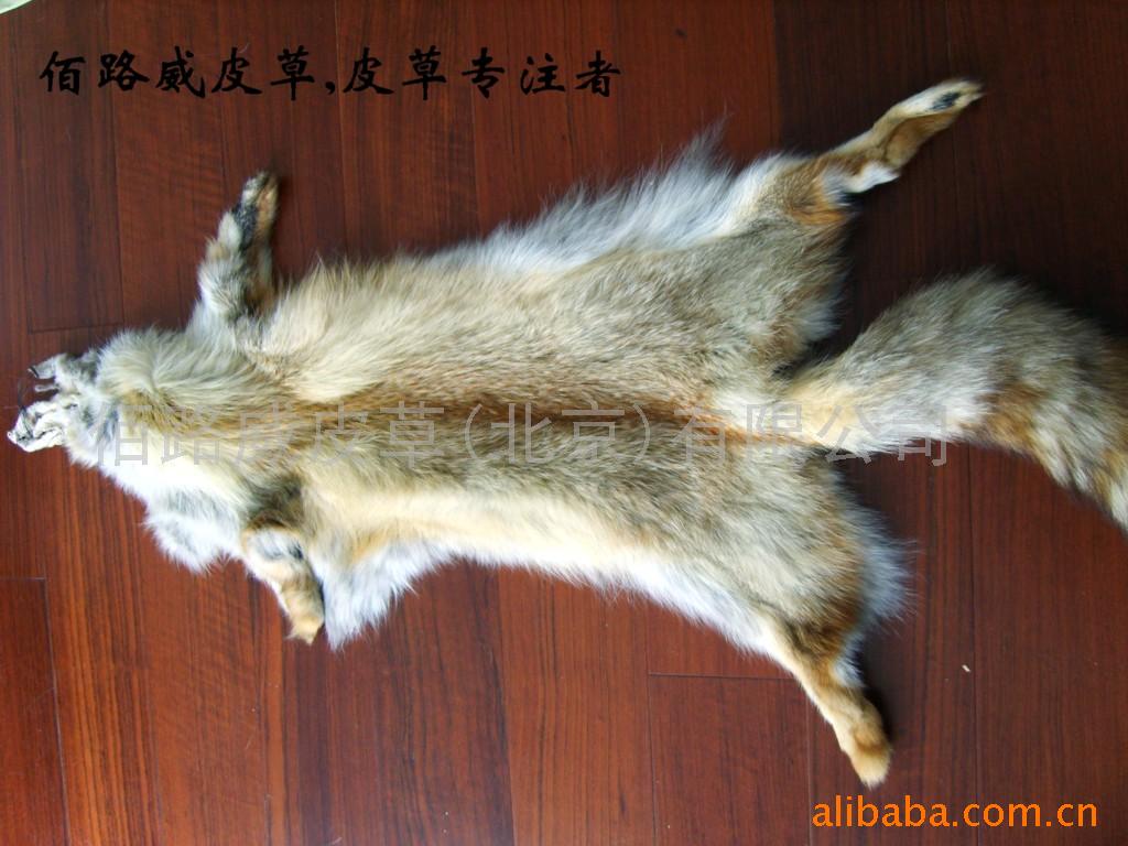 狐狸皮(沙狐皮)
