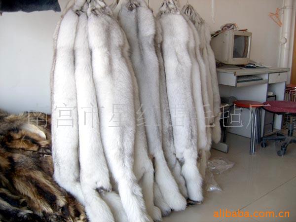 狐狸围脖,水貂帽条,貉子帽条,皮毛制品,(图)