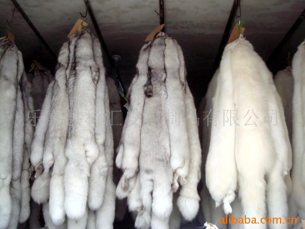 大量狐狸狨,貉皮,狐皮,貂皮