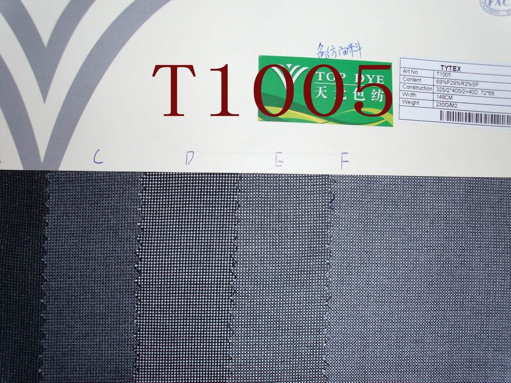 T1005