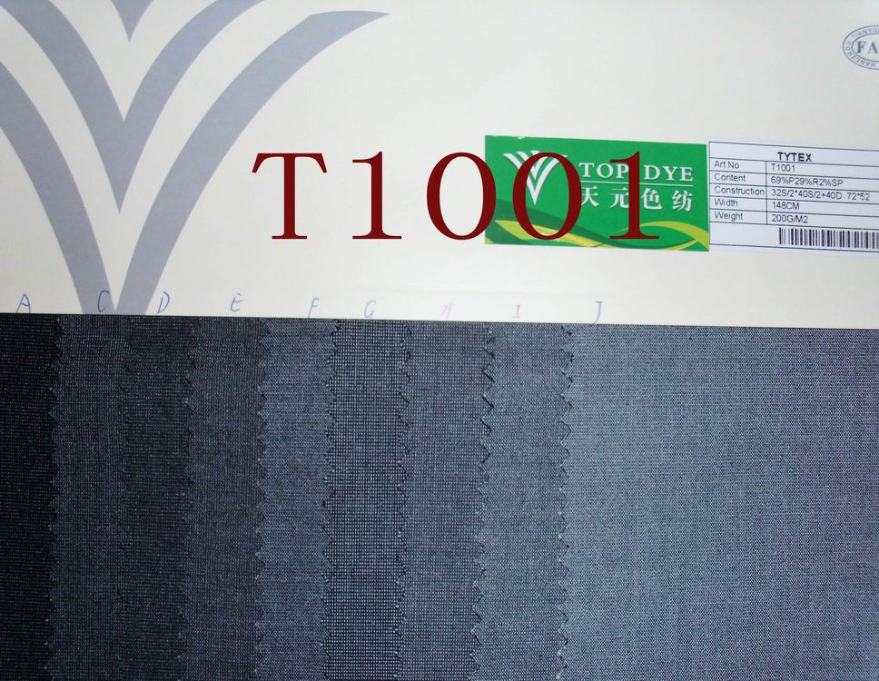 T1001
