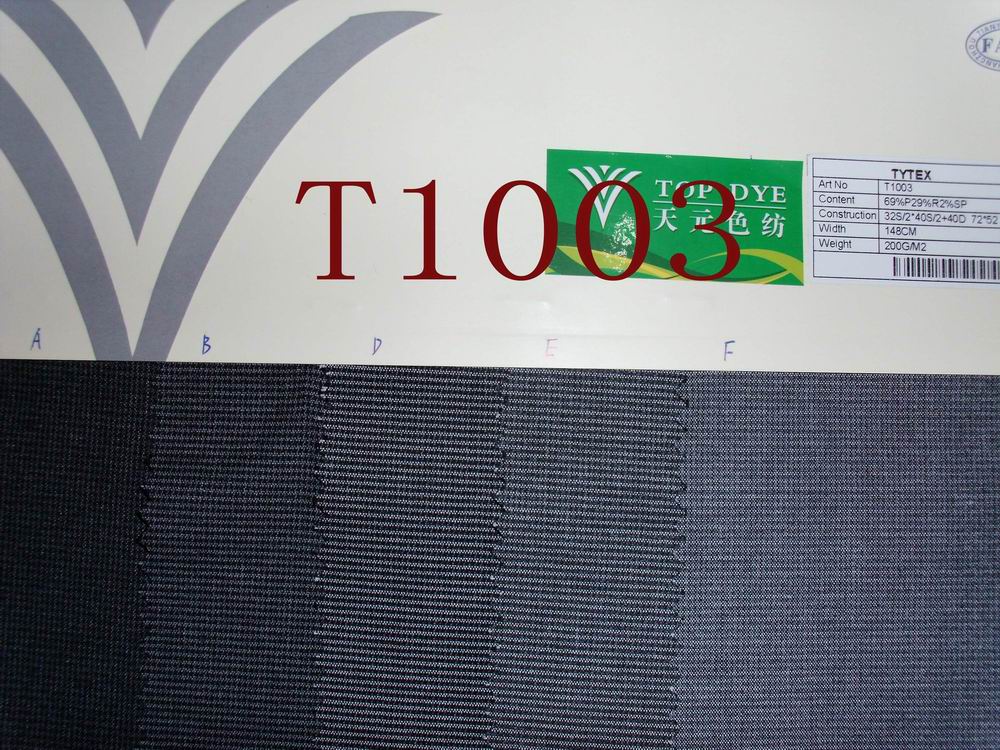 T1003