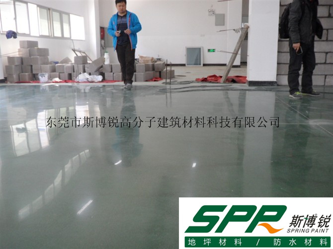 [SPR-568P]