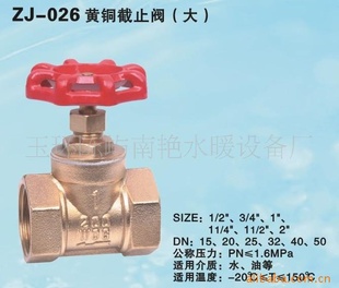 ZJ-026ֹͭ