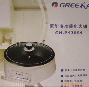 GH-P130S1