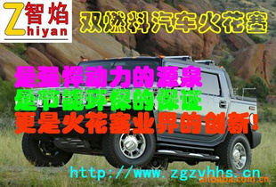 生产汽车配件火花塞,双燃料节能火花塞,火花塞(图)