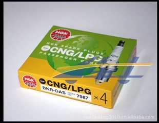 BKR-GAS7987NGKȼ˫ȼϻ
