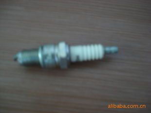 BERUsparkplug