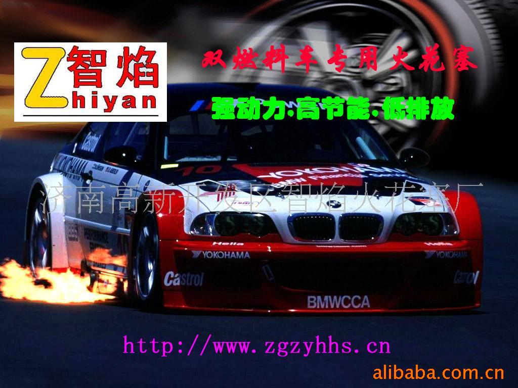 CNG,,˫ȼ(ͼ)