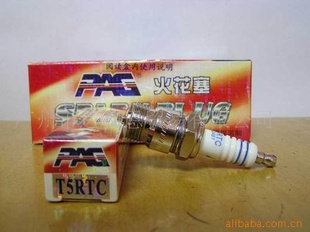 PAGT5RTC