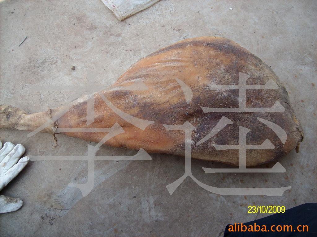 鶨»ڹƷѽ֮Ʒ